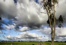 奥地利主场胜摩尔多瓦，小组第一位置稳固