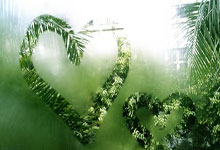 硬气之战，运动员实力大爆发