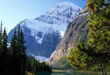 利物浦神奇绝杀，晋级无望转机