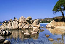 斯旺西城泄气连败，前十渐行渐远