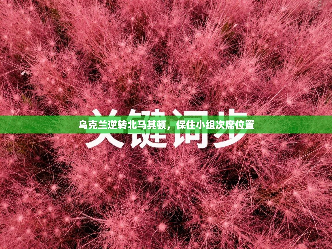 乌克兰逆转北马其顿,保住小组次席位置 第2张