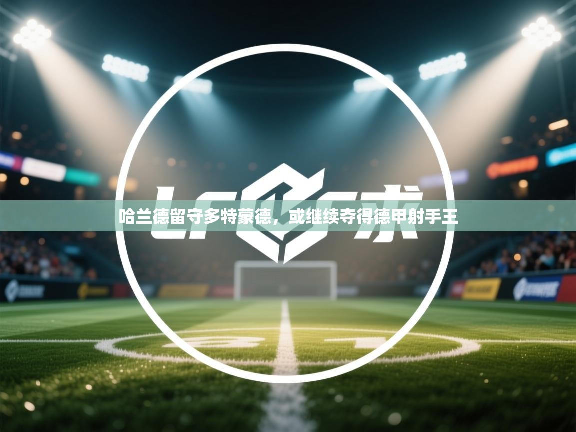 哈兰德留守多特蒙德，或继续夺得德甲射手王  第2张