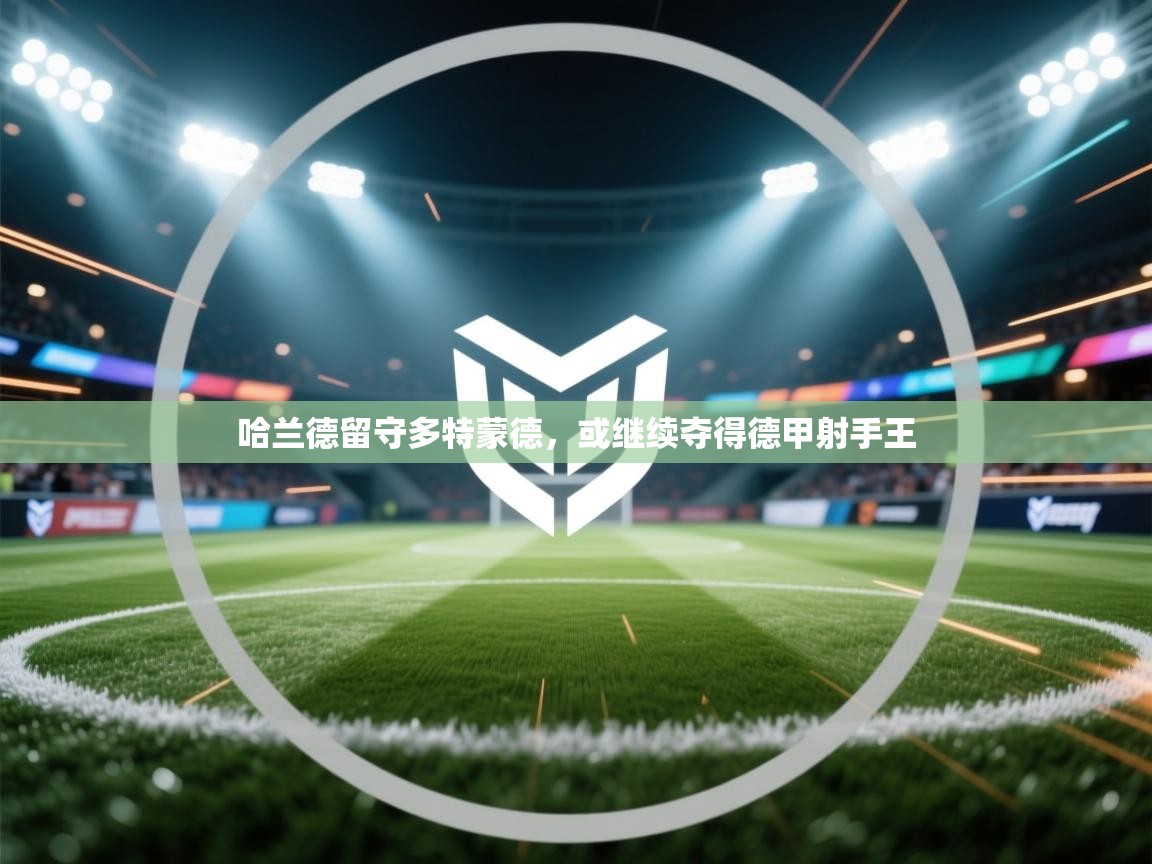 哈兰德留守多特蒙德，或继续夺得德甲射手王  第1张