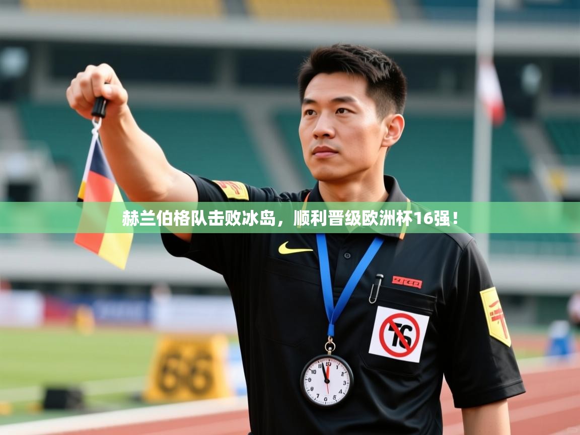 赫兰伯格队击败冰岛，顺利晋级欧洲杯16强！  第2张
