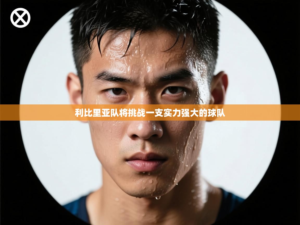 利比里亚队将挑战一支实力强大的球队  第2张