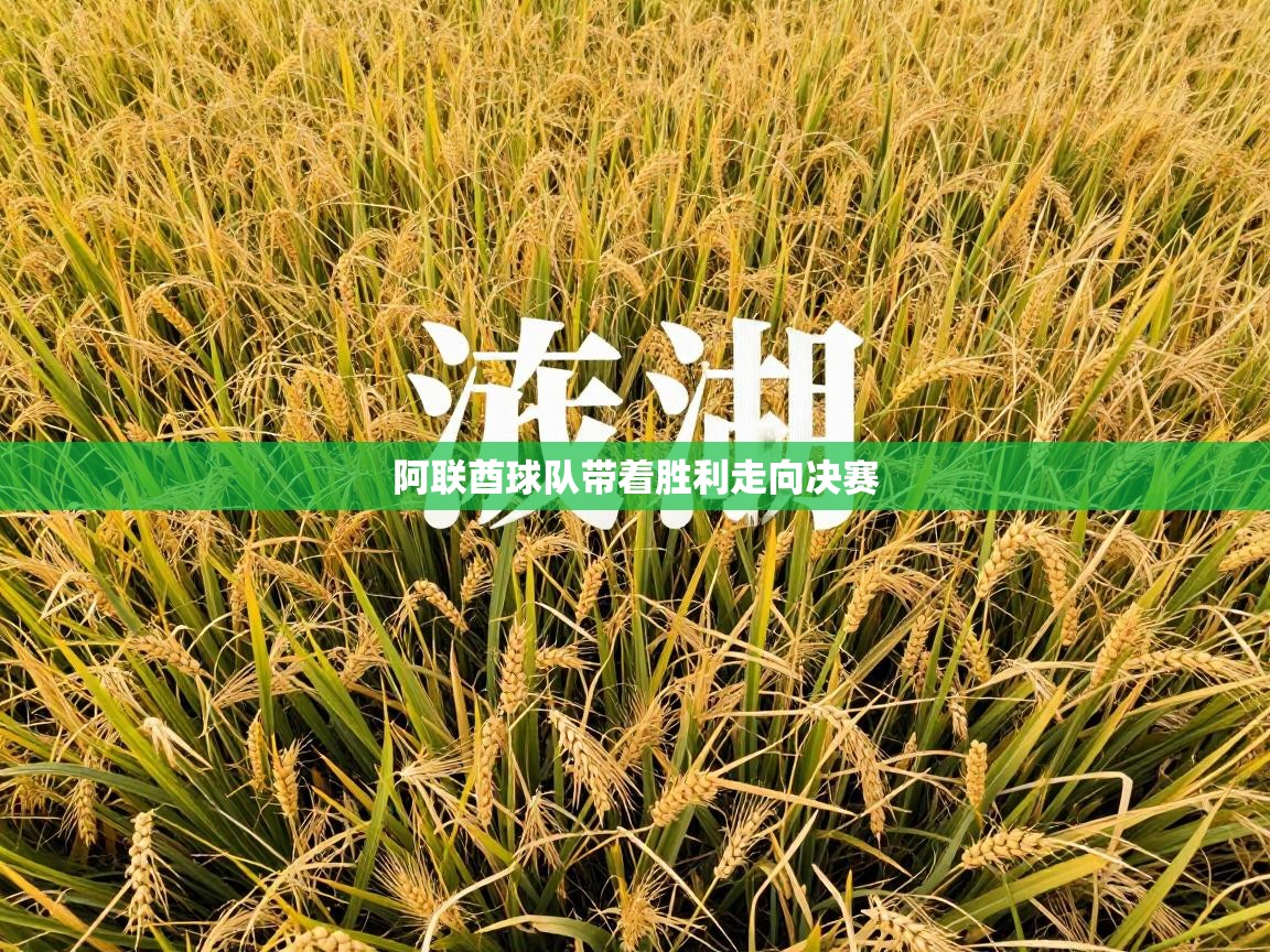 阿联酋球队带着胜利走向决赛 第2张