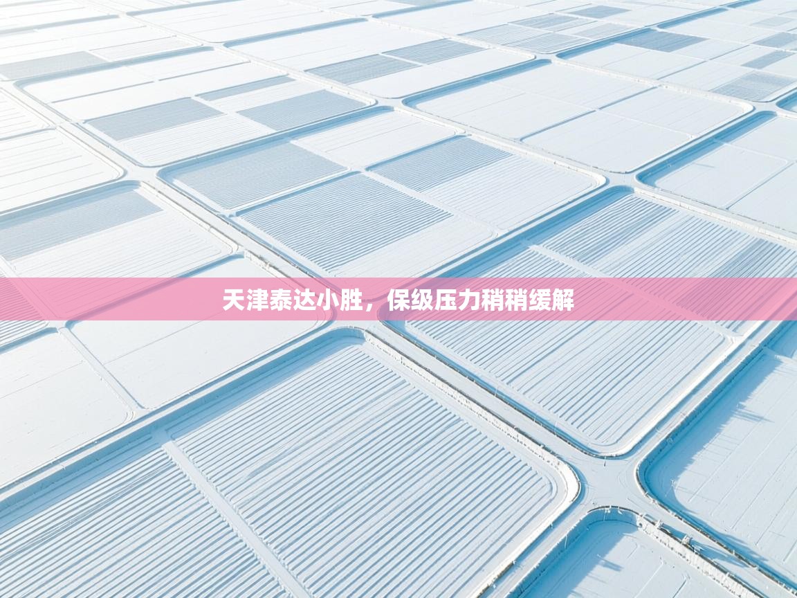 天津泰达小胜，保级压力稍稍缓解  第1张