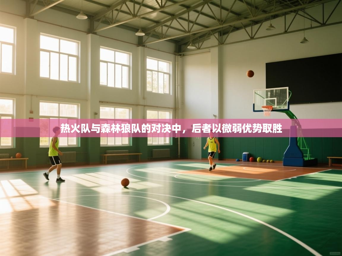 热火队与森林狼队的对决中，后者以微弱优势取胜  第2张