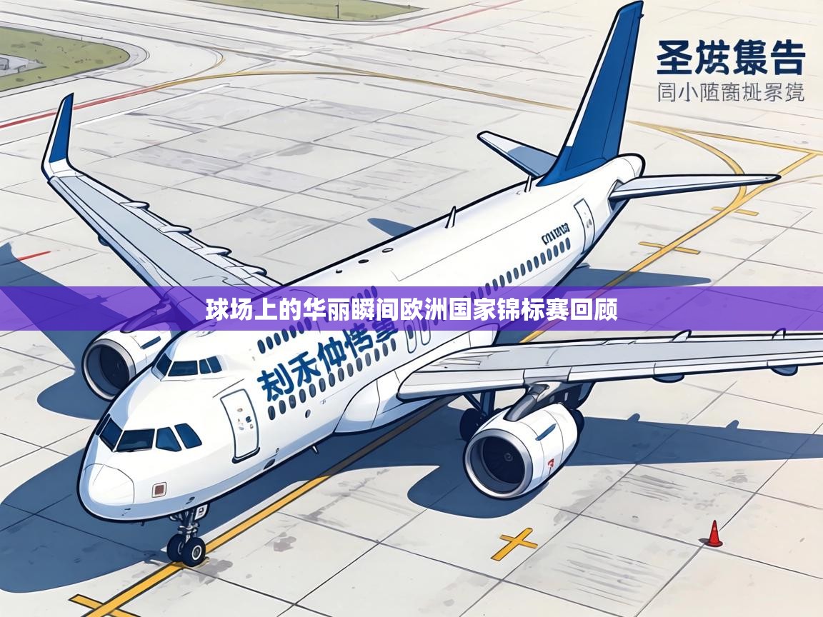 球场上的华丽瞬间欧洲国家锦标赛回顾  第2张